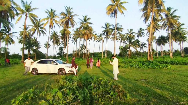 নারিকেল জিঞ্জিরা ময়মনসিংহ...