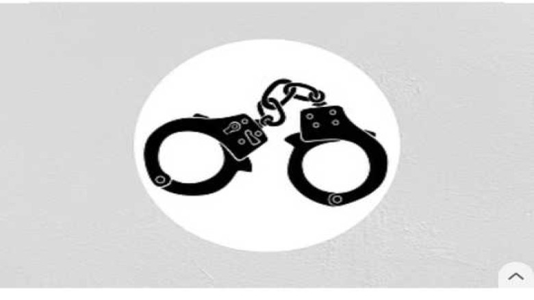 মোহাম্মদপুর ও আদাবর থেকে বিভিন্ন অপরাধে জড়িত ১৭ জন...